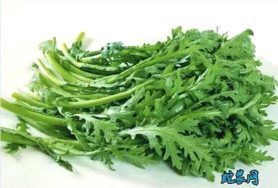 常见青菜