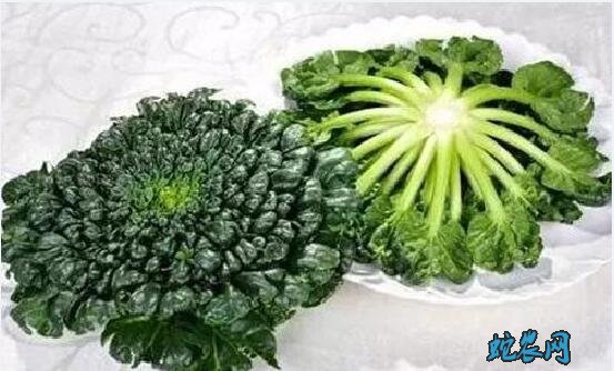 什么是青菜？常说的青菜有那些？