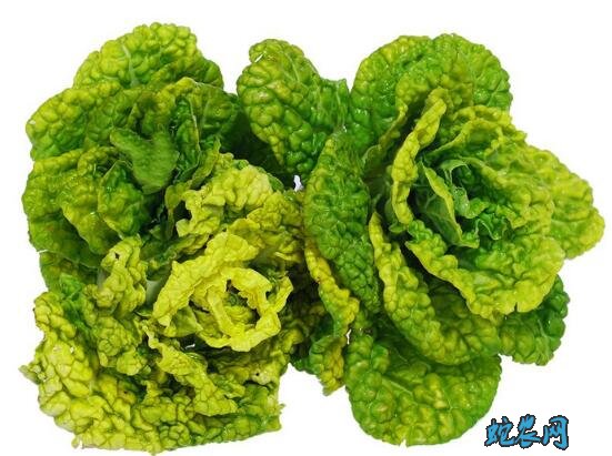 什么是青菜？常说的青菜有那些？