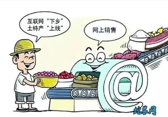 电商扶贫,农产品触网“逢春”