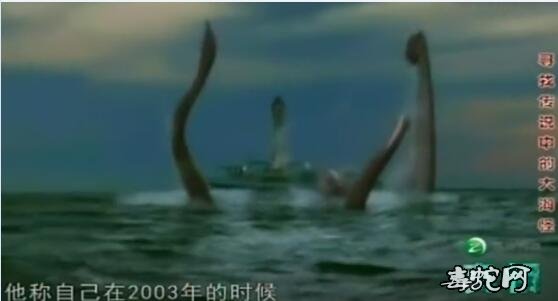 “北海巨妖”真的存在吗？