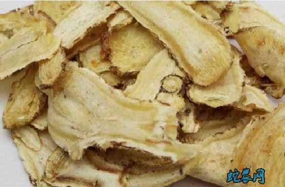 当归片、当归片什么时候吃最好