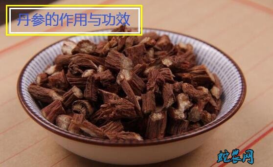 丹参的作用与功效