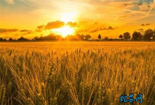 湖北2020年一号文件聚焦补短板奔小康