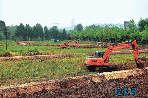 安徽:小田并大田 省力又增收