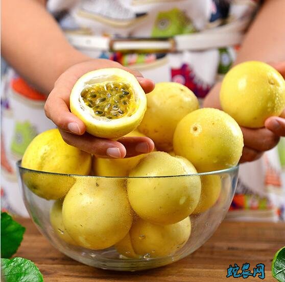 黄金百香果