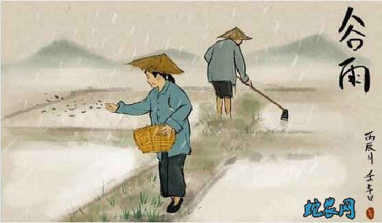 2020年谷雨是几月几日?谷雨的风俗和禁忌有哪些?