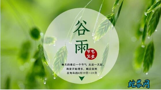 2020年谷雨是几月几日?谷雨的风俗和禁忌有哪些?