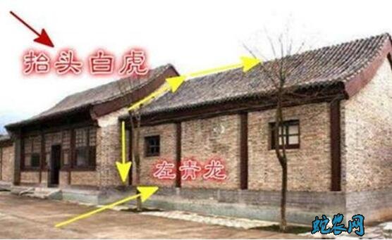 农村俗语“不怕青龙高万丈,就怕白虎抬头望”是什么意思?
