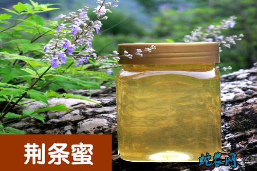 2020年4月19日荆条蜜价格行情、今日荆条蜜多少钱一斤?