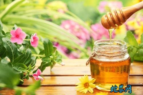 2020年4月19日百花蜜价格行情、今日百花蜜多少钱一斤?