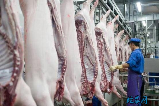 好消息!农业农村部:肉价连续7周下降 猪肉每公斤降了6元