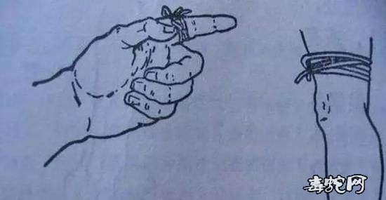 治眼镜蛇特效中草药!一草治毒蛇咬伤靠谱吗?