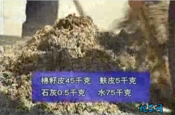 平菇种植视频