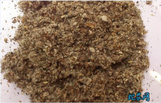 平菇怎么种?室内平菇从调料、进料到播种方法!