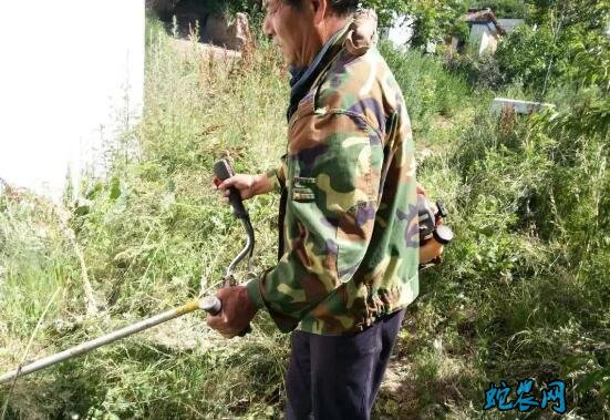 陕西:借势防疫 净美三秦、集中组织消毒102万次!