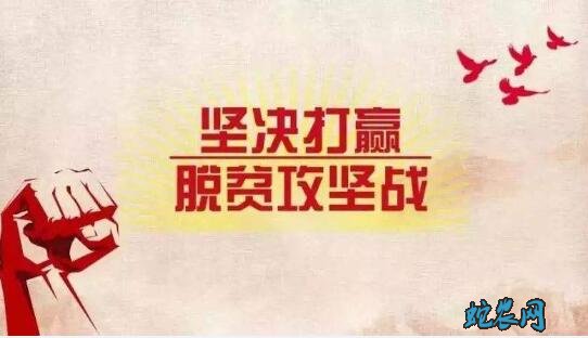 江西上饶:消费扶贫 助力脱贫攻坚