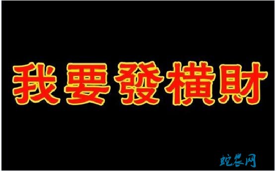 农村俗语:“人无横财不富马无夜草不肥”什么意思?