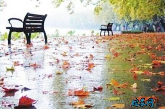 农村俗语:“重阳无雨盼十三,十三无雨一冬干”是什么意思?