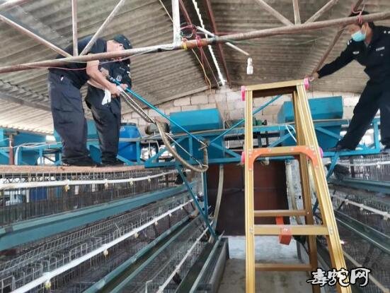 建水14斤眼镜王蛇下山“吃鸡”!警方成功“逮捕”2.8米长大蛇!