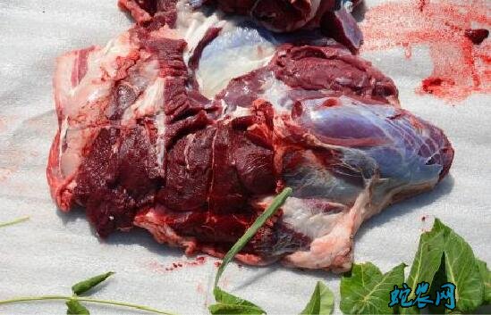 鹿肉多少钱一斤?2020年鹿肉价格行情?