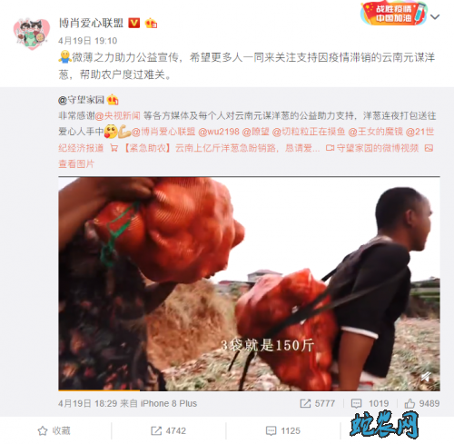央视新闻+守望家园+有赞助攻,云南元谋上亿斤滞销洋葱找到新销路!