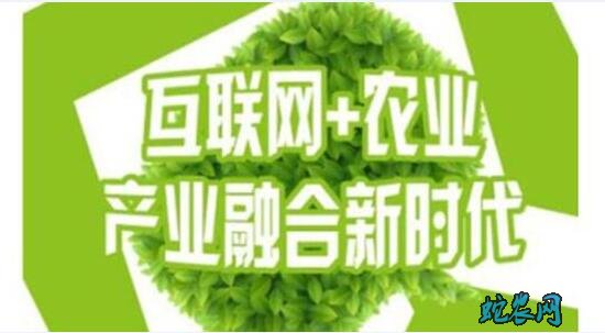 上海青浦区:探索“互联网+农业” 推进乡村振兴战略