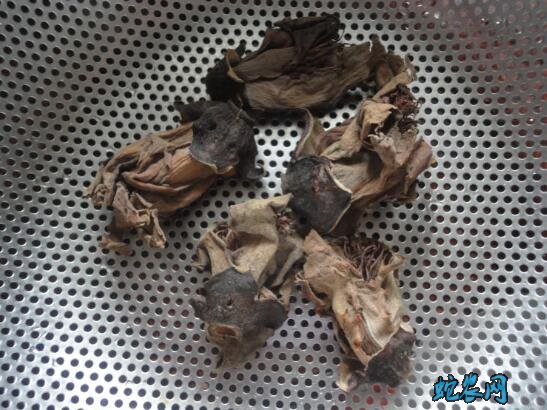 鹧鸪的做法步骤图3