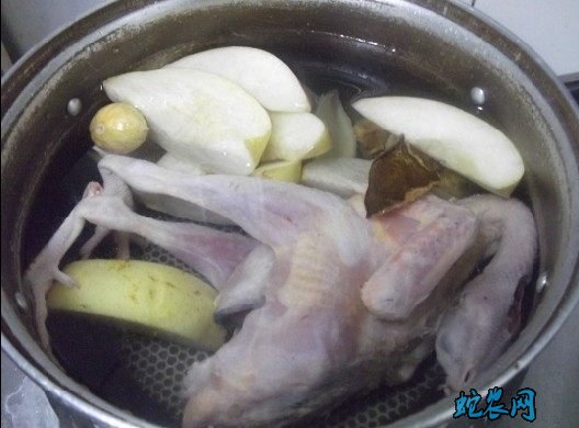鹧鸪的做法步骤图3