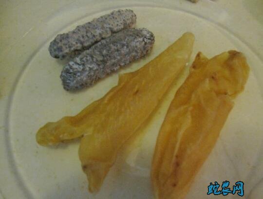 鹧鸪的做法步骤图