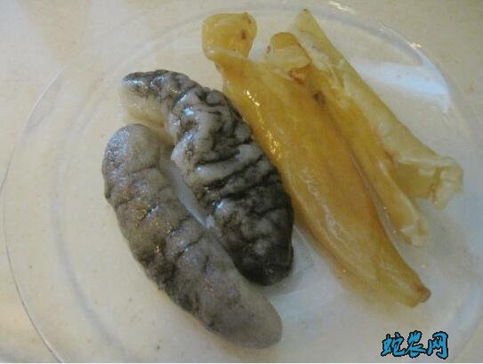 鹧鸪的做法步骤图