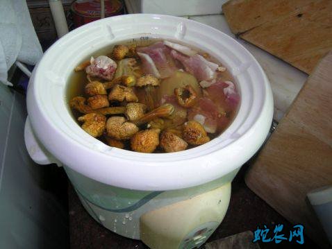 鹧鸪的做法步骤图