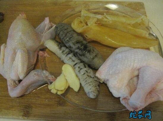 鹧鸪的做法步骤图