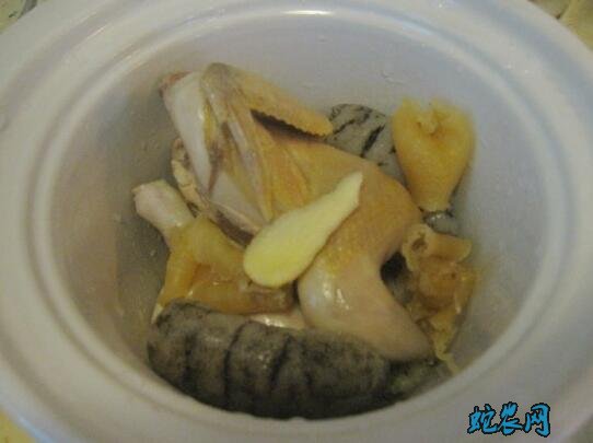 鹧鸪的做法步骤图