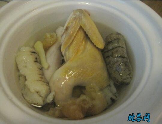 鹧鸪的做法步骤图