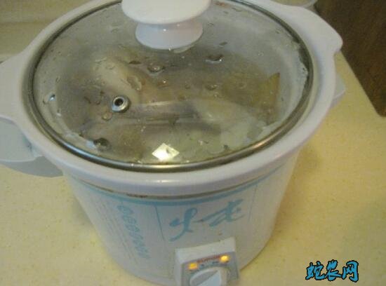 鹧鸪的做法步骤图