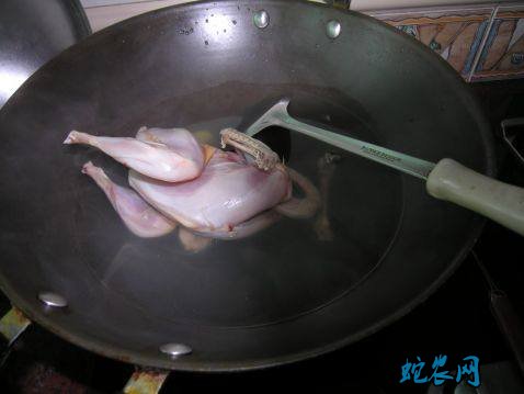 鹧鸪的做法步骤图