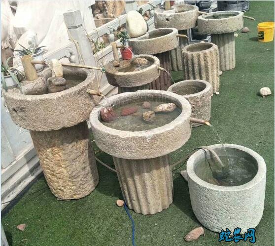 家里养鱼有什么讲究