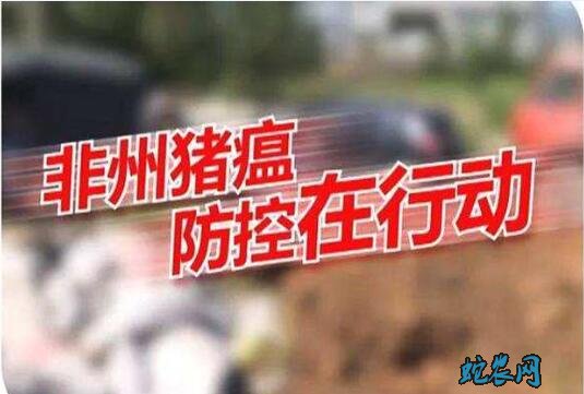 农业农村部召开非洲猪瘟防控等工作督导总结视频会议强调