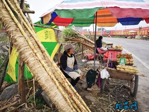 更好激发乡村振兴新动能