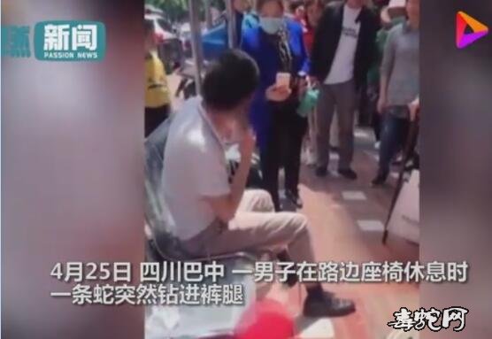 男子路边休息一条蛇突然钻进裤腿!