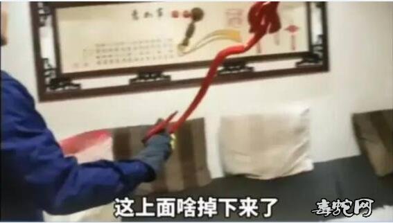 女子家中惊现“红色长蛇”！报警后结局意想不到！