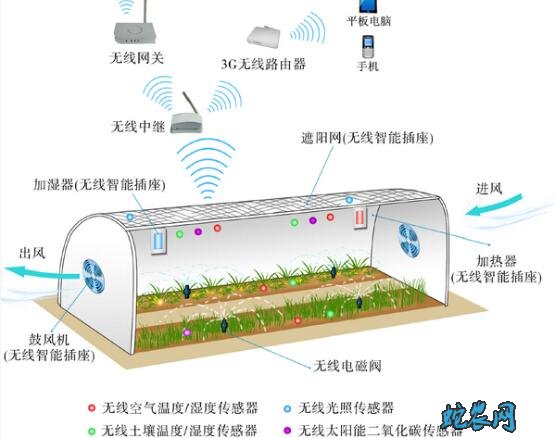 农业新基建:智慧农业落地,AI和物联网让农业生产全程可控!