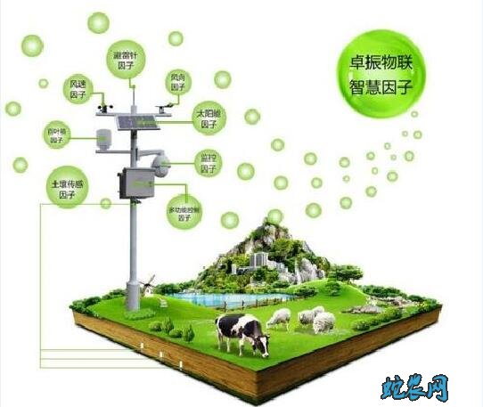 农业新基建:智慧农业落地,AI和物联网让农业生产全程可控!