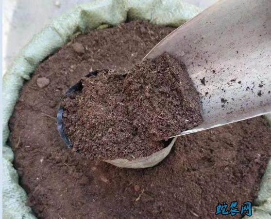 无土栽培基质图片3
