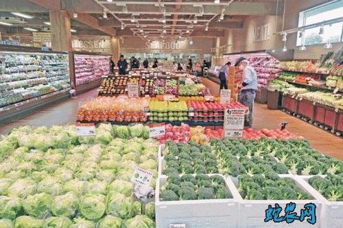 河北乐亭果菜市场:喜迎“五一”,河北乐亭市场瓜果批量入市
