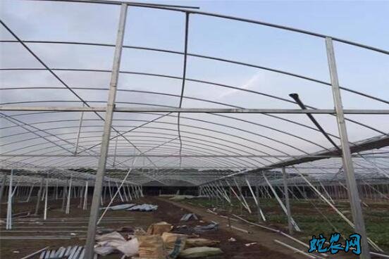 蔬菜大棚造价每亩多少钱