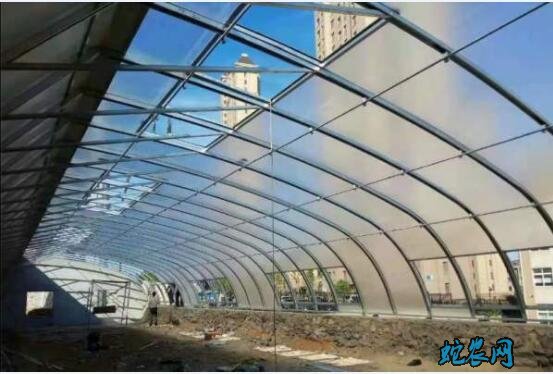 蔬菜大棚造价每亩多少钱