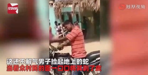 阿三就是厉害!印度男子遇到蛇“挡路”,当街将蛇咬死!
