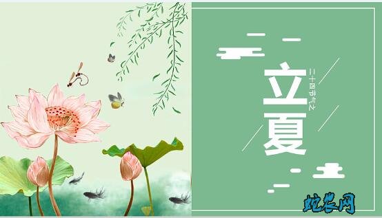 2020年立夏是几月几日?立夏的风俗和禁忌有哪些?